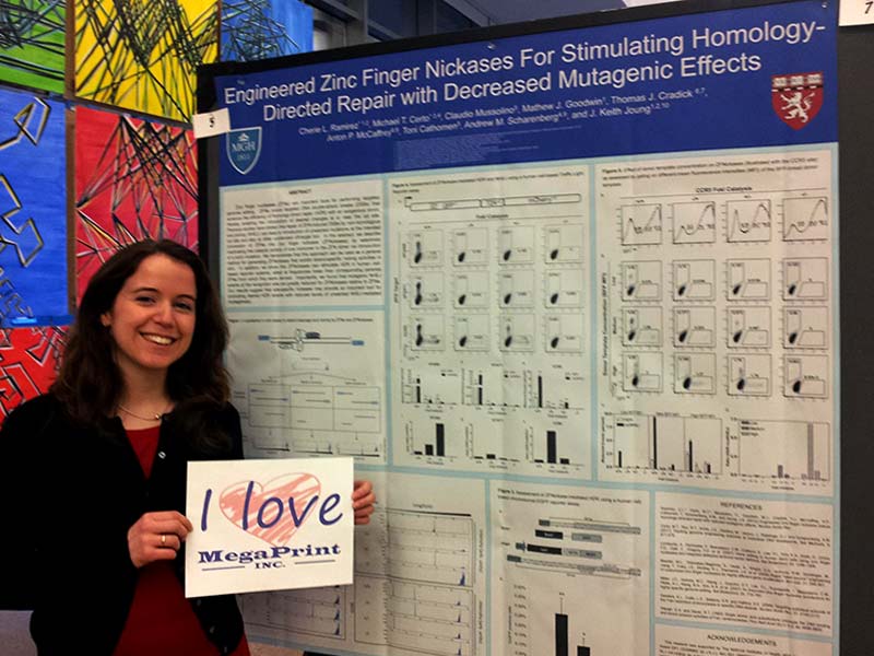 Scientific Research Poster Examples